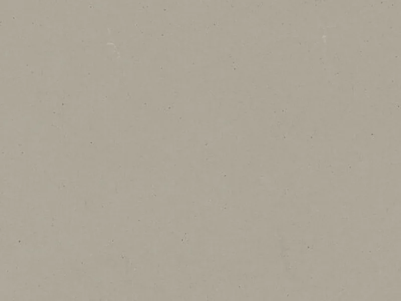 Caesarstone Raw Concrete quartz swatch: soft gray concrete-look surface with black and white flecks
