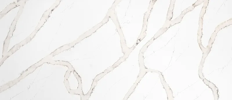MSI Q Quartz Calacatta Goa quartz slab: warm white base with thick russet and dark brown veining