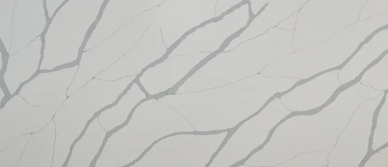 MSI Q Quartz Calacatta Sierra quartz slab: white background with thick gray veins linked by thinner lines