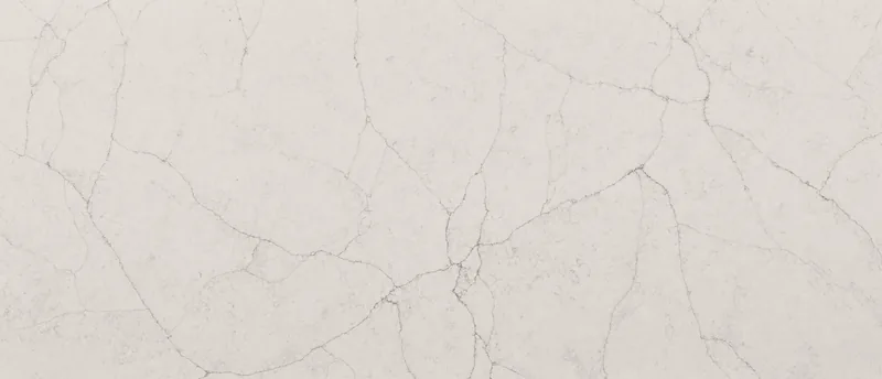 MSI Q Quartz Calacatta Valentin quartz slab: two-tone warm white background with fine branching brown veins
