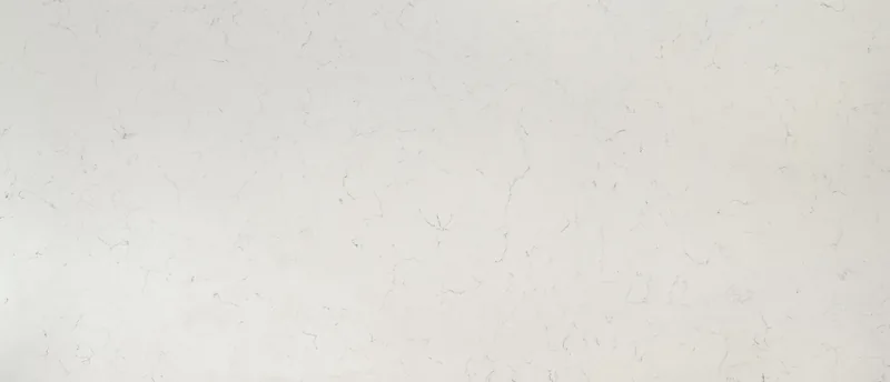 MSI Q Quartz Carrara Delphi quartz slab: warm white background with evenly spread fine gray veins