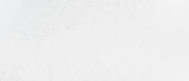 MSI Q Quartz Carrara Morro quartz slab: creamy white background with fine, light gray marbling