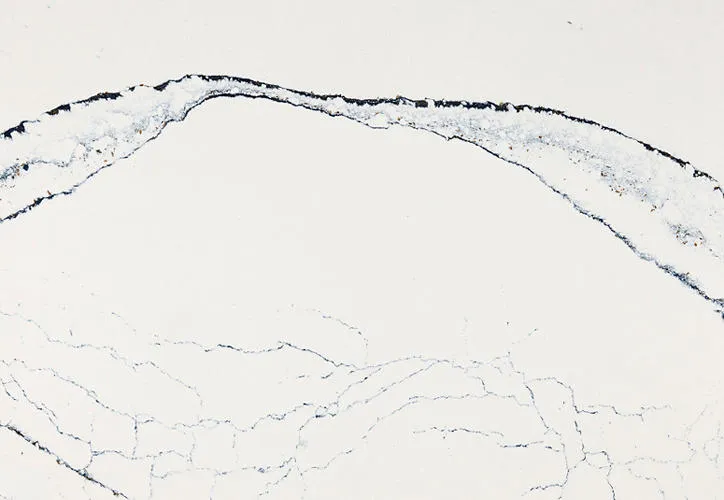 Cambria Portrush quartz countertop