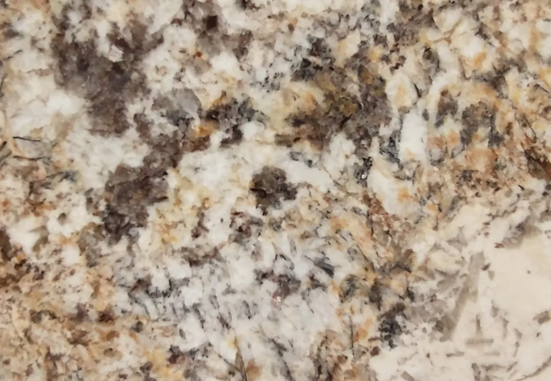Polished granite slab with cream, gold and brown mineral grains